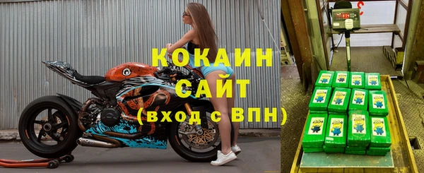 шишки Надым