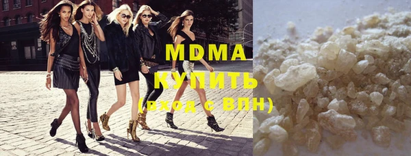 шишки Надым