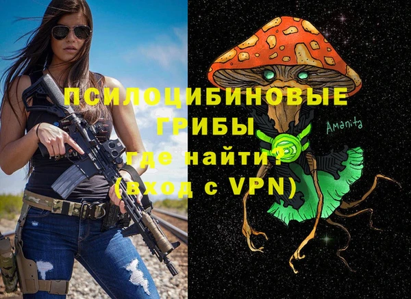 спиды Абаза
