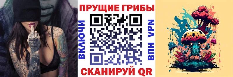 Псилоцибиновые грибы Cubensis  купить  сайты  Петров Вал 
